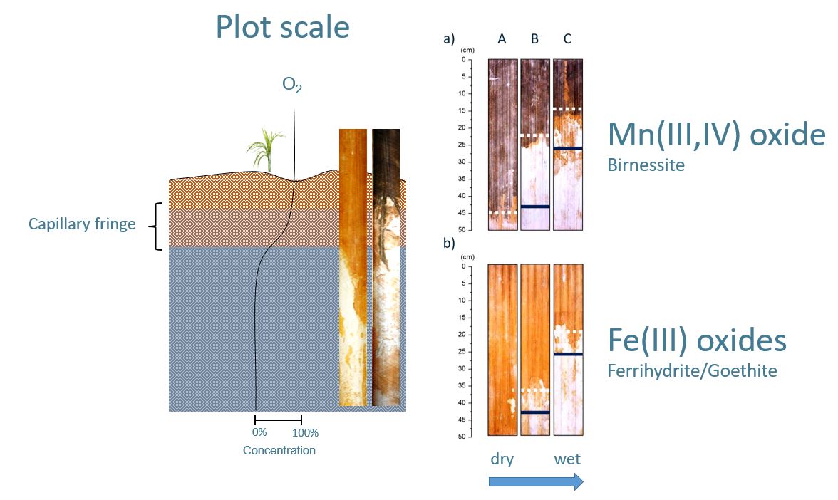 Application of IRIS devices for environmental monitoring. Adapted from [Dorau 2016. ](https://kups.ub.uni-koeln.de/7439/1/Dissertation_Dorau.pdf)