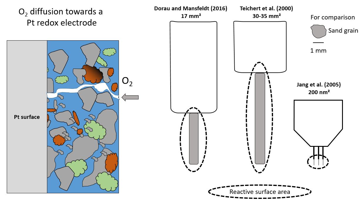 Scheme of the platinum surface in contact with the soil matrix and one continous pore filled with air. Presumably, the tourtous path enable O~2~ to diffuse towards the Pt surface. The electrodes are scaled for comparison with a sand grain with the reactive surface area from three studies. Source: The scheme on the left is adapted from Reddy and DeLaune (2008) and on the right my own illustration.