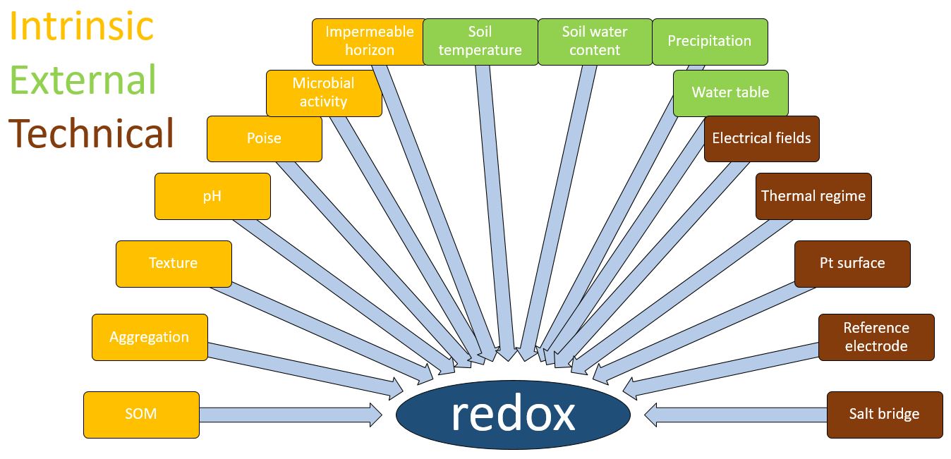 Factors that contribute to redox development and spatiotemporal E~H~ variability in soils.