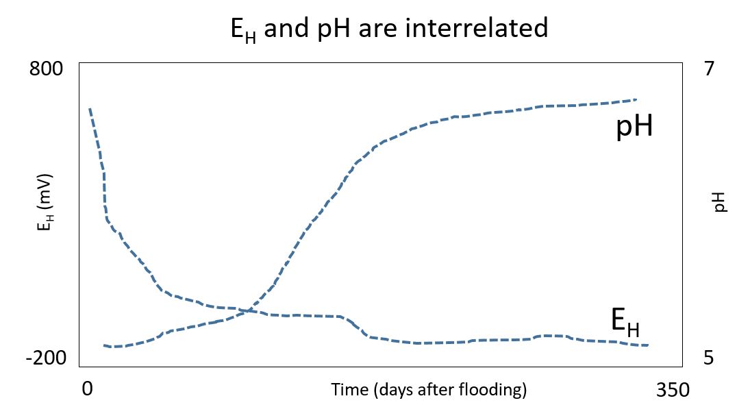 Idealized E~H~ and pH development after water saturation of a soil.