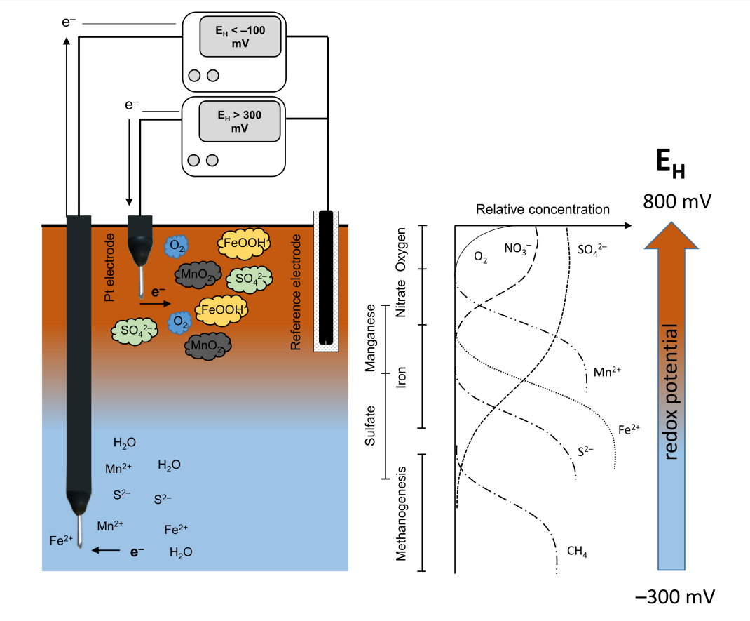 Scheme for measuring redox potentials. Source: [Dorau, 2016](https://kups.ub.uni-koeln.de/7439/1/Dissertation_Dorau.pdf), adapted from Fiedler et al. 2007; Reddy and DeLaune 2008; Strawn et al. 2015